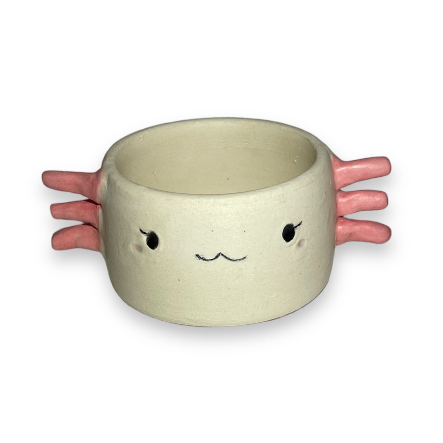 Fibby the Axolotl Planter (small)