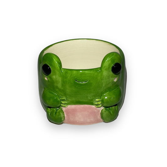 Froggy Plant Pot