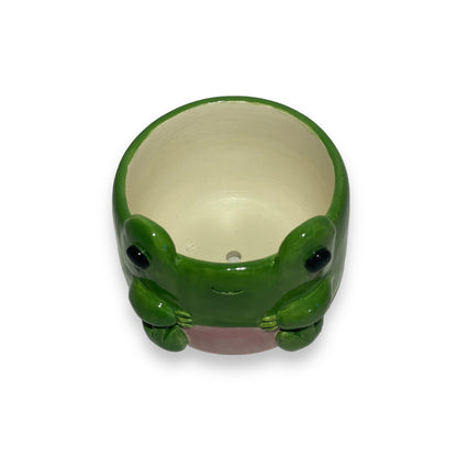 Froggy Plant Pot