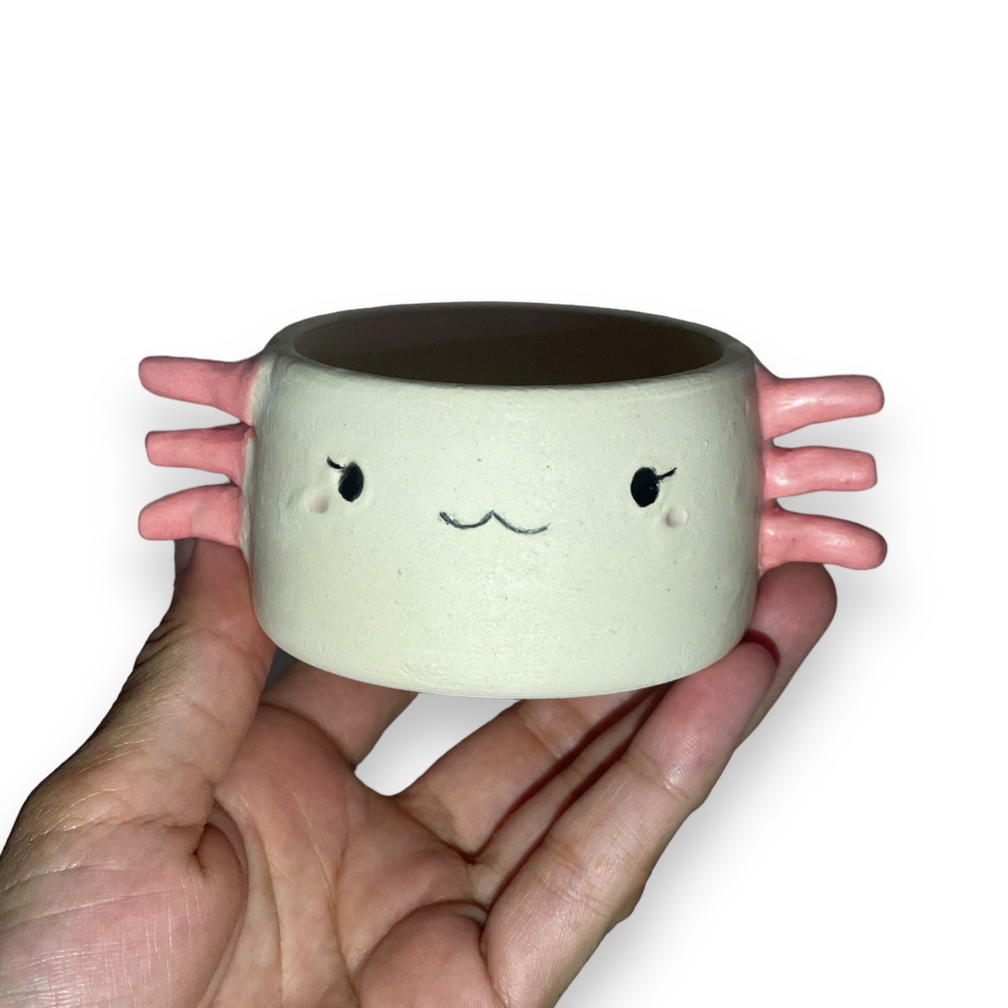 Fibby the Axolotl Planter (small)