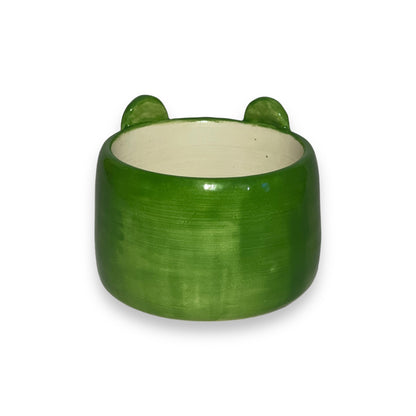 Froggy Plant Pot