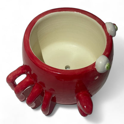 Mr.Crab Plant Pot