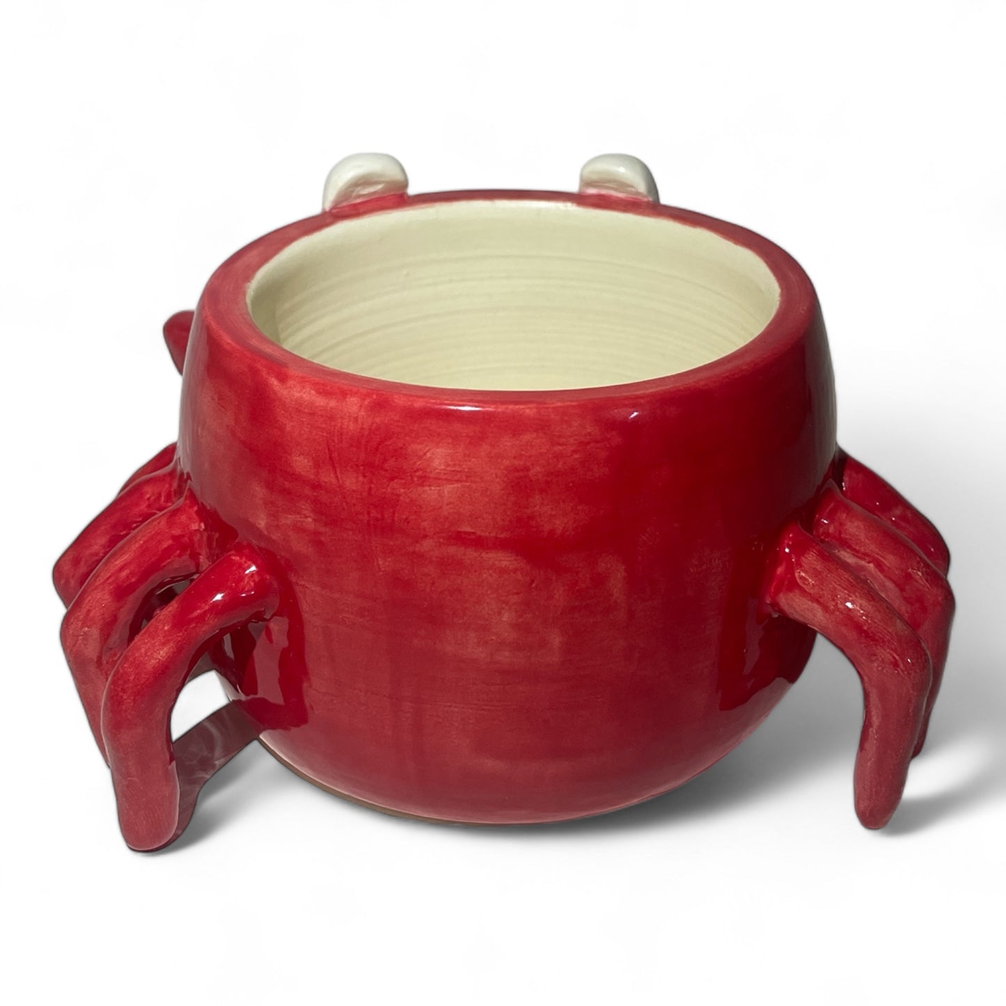 Mr.Crab Plant Pot