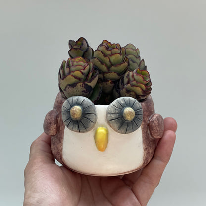 Ciro The Owl Planter