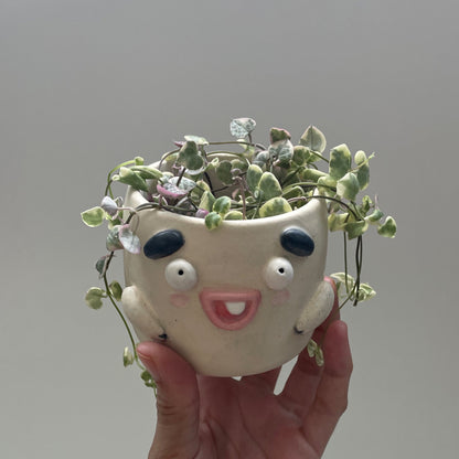 Planter Billy One Tooth