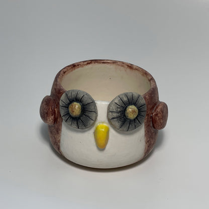 Ciro The Owl Planter